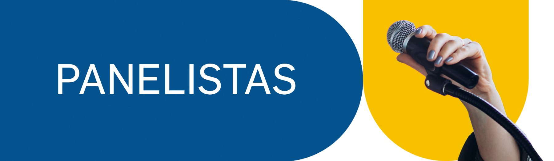 Panelistas_Banner
